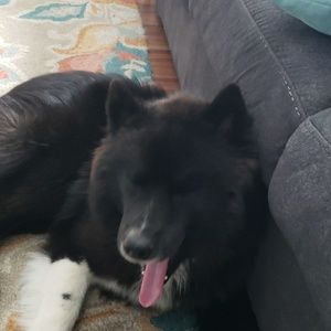 Meet your Posher, Keith